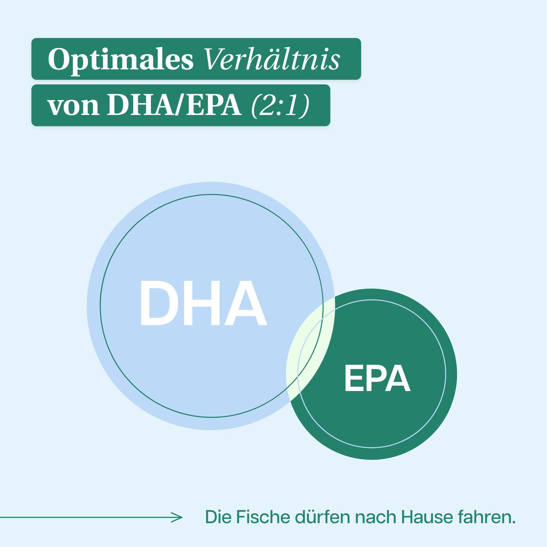 function - Brain & Body Omega 3 Complex