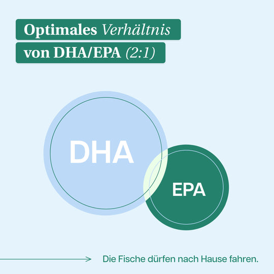 function - Brain & Body Omega 3 Complex