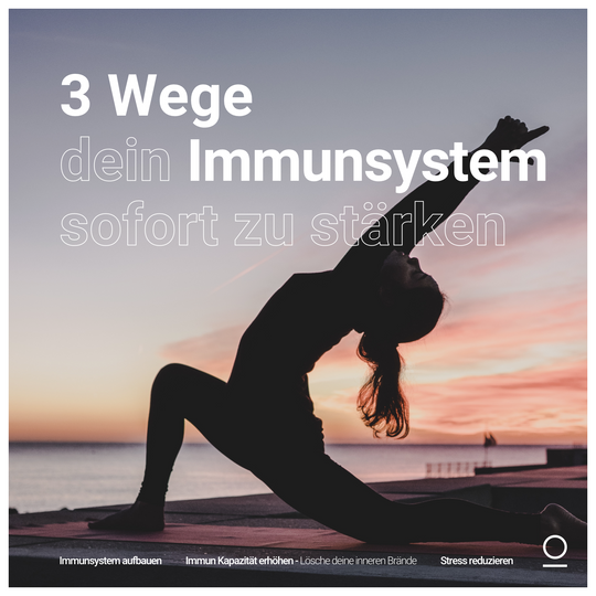 E-Book: 3 Wege, dein Immunsystem sofort zu stärken